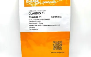 Cladio / Кладио