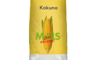 Kokuna / Кокуна