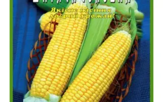 Konkurent / Конкурент