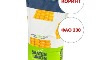 Korynt / Коринт