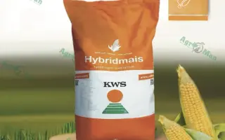 Krabas / Крабас