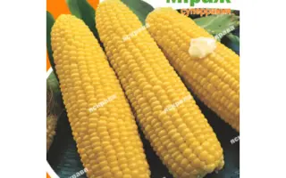 MAJARE / МАДЖАРЕ