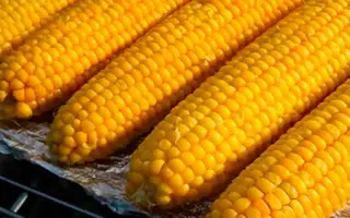 MADLEN / МАДЛЕН