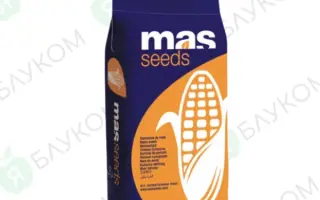 MAS 20A / МАС 20А