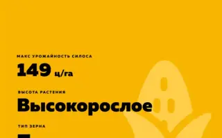 MAS 250F / МАС 250Ф