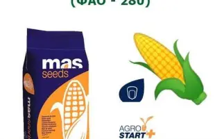 MAS 282K / МАС 282К