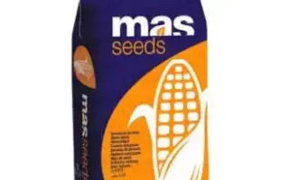 MAS 300B / МАС 300Б