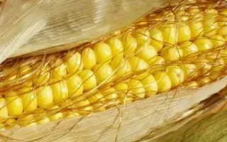 MAS 335I / МАС 335І