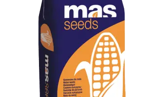 MAS 37V / МАС 37В