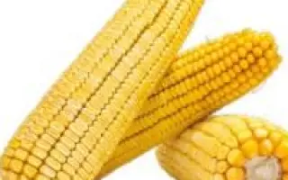 Меридіан 341 МВ