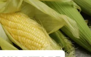 NK Gitago / НК Джитаго