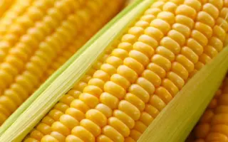 Одеський 385 МВ