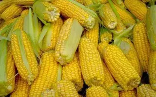 Opanat / Опанат