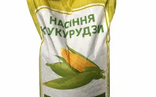 Оржиця 237 МВ