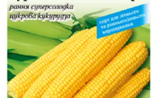 OSTINATI / ОСТІНАТІ