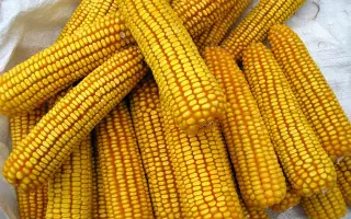 Переяславський 230 СВ