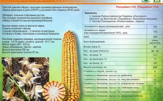 Porumbeni 310 / Порумбені 310