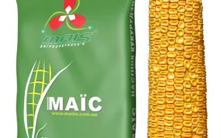 Премія 190 МВ