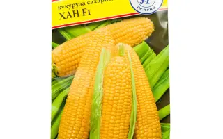 Престиж 365 МВ