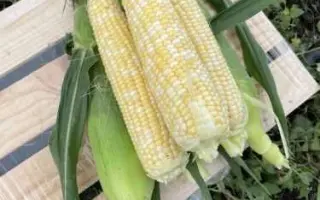 Privat / Приват