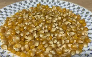 Приморський