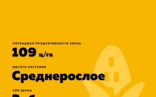 RGT Volcoxx / РЖТ Волкоккс