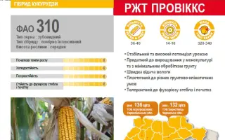 RGT PROVEXX / РЖТ ПРОВІККС