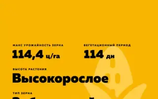 RGT SUFFIXXE / РЖТ СУФІККС