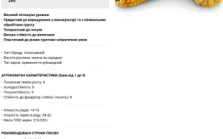 RGT FEROXXY / РЖТ ФЕРОККСІ