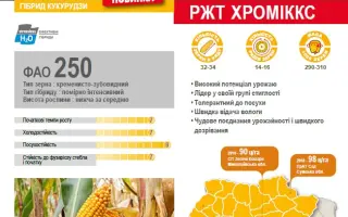 RGT CHROMIXX / РЖТ ХРОМІККС