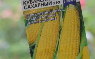 SY ALDARIA / СИ АЛЬДАРІА