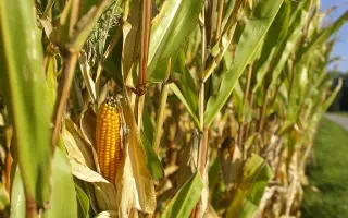 SY ENERMAX / СИ ЕНЕРМАКС