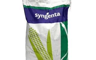 SY CARIOCA / СИ КАРІОКА