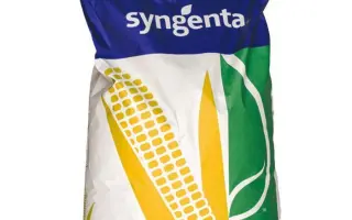 SY MARIMBA / СИ МАРІМБА