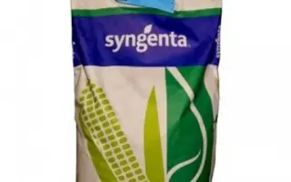 SY Novatop / СИ Новатоп