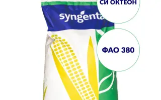 SY OCTEON / СИ ОКТЕОН