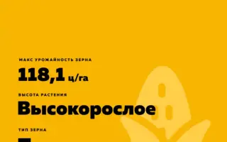 SY PREMEO / СИ ПРЕМЕО