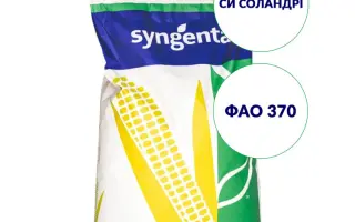 SY SOLANDRI / СИ СОЛАНДРІ