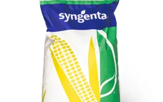 SY TELIAS / СИ ТЕЛІАС