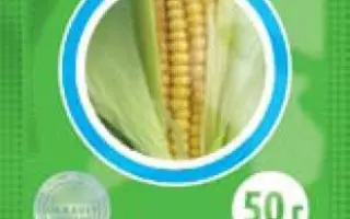 SY TRIVIUS / СИ ТРІВІУС