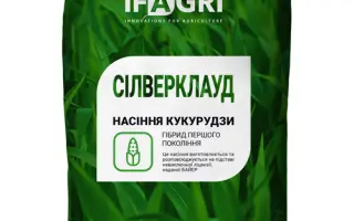 SILVERCLOUD / СІЛВЕРКЛАУД