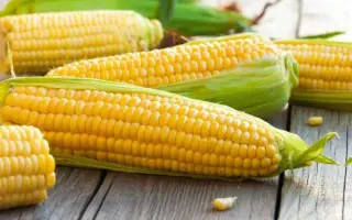 Solitaro / Солітаро