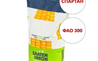 Spartan / СПАРТАН