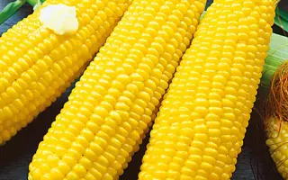 TEXERO / ТЕКСЕРО