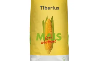 Tiberius / Тіберіус