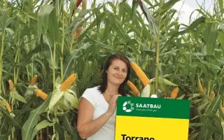 Torrano / Торрано