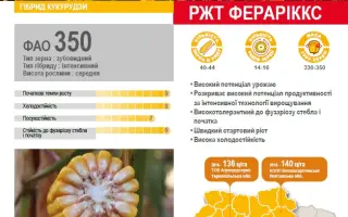 FERARIXX / ФЕРАРІККС