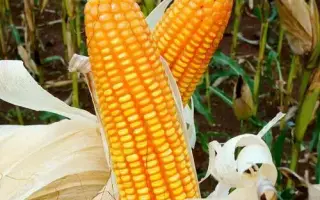 Черкаський 227 МВ