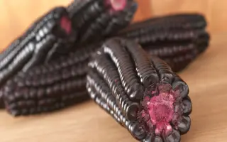 TCHOURI / ЧОУРІ