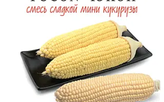 UNI3210 / ЮНІ3210